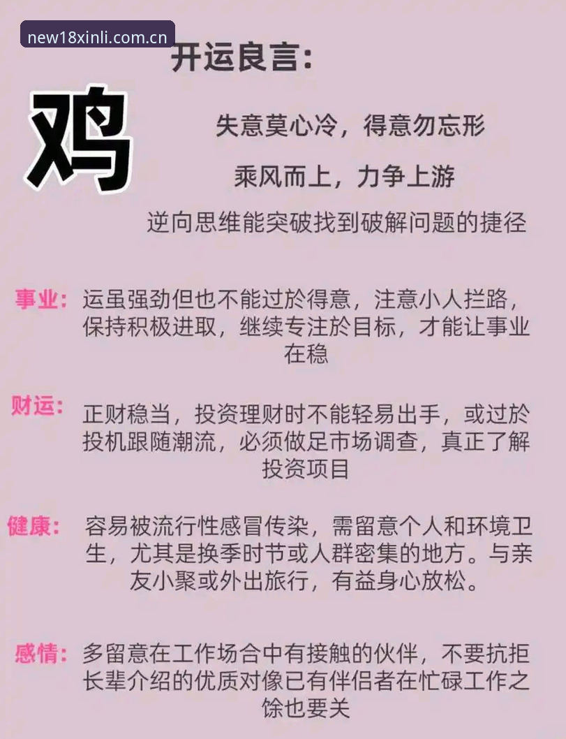 掌握新利正版入口使用技巧的5个核心要点—2025新版体验指南